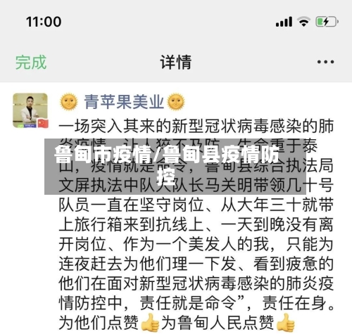 鲁甸市疫情/鲁甸县疫情防控
