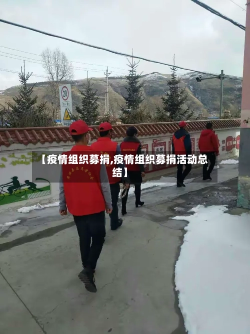 【疫情组织募捐,疫情组织募捐活动总结】