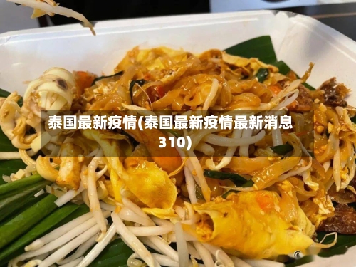 泰国最新疫情(泰国最新疫情最新消息310)