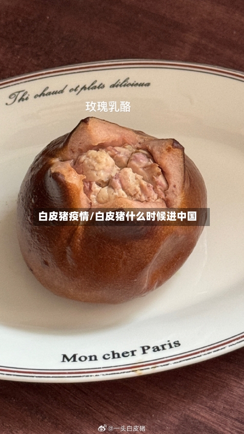 白皮猪疫情/白皮猪什么时候进中国