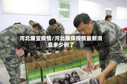 河北康宝疫情/河北康保疫情最新消息多少例了