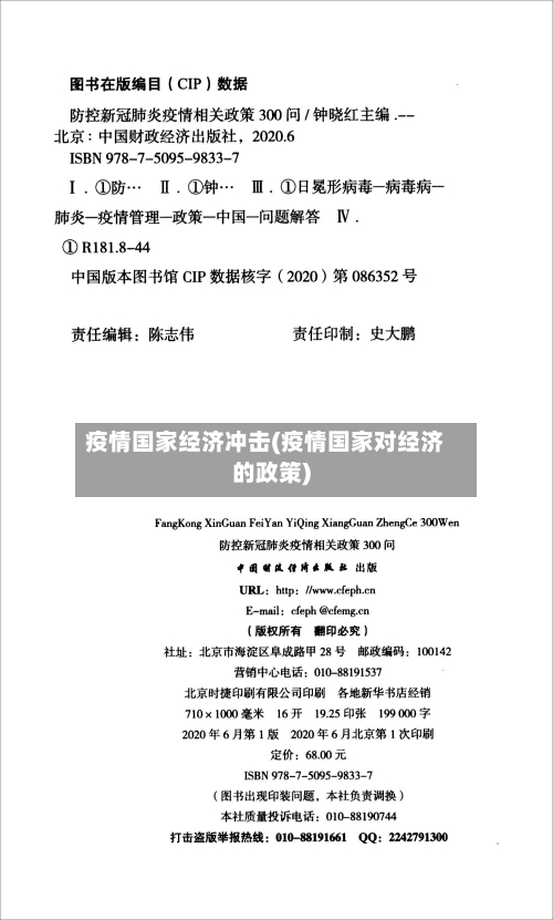 疫情国家经济冲击(疫情国家对经济的政策)