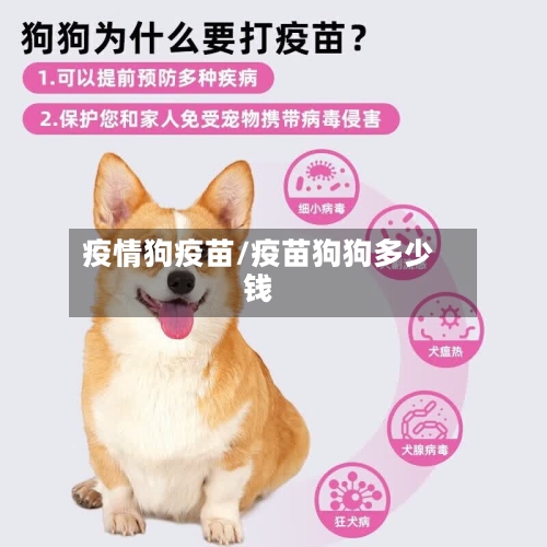 疫情狗疫苗/疫苗狗狗多少钱