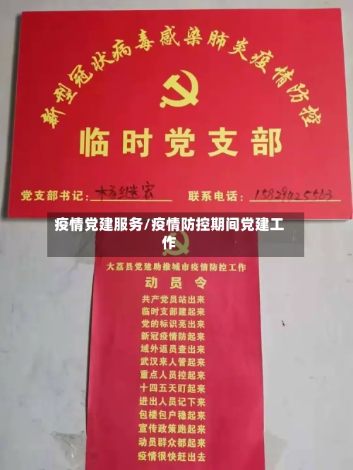 疫情党建服务/疫情防控期间党建工作