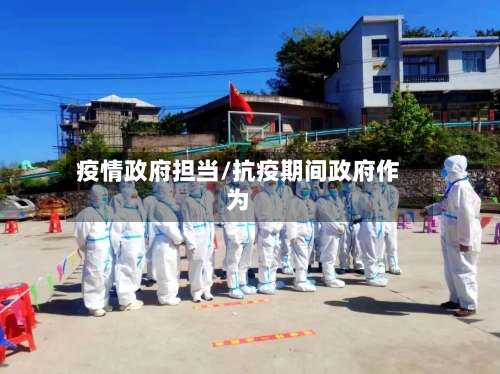 疫情政府担当/抗疫期间政府作为