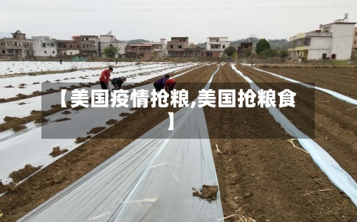 【美国疫情抢粮,美国抢粮食】