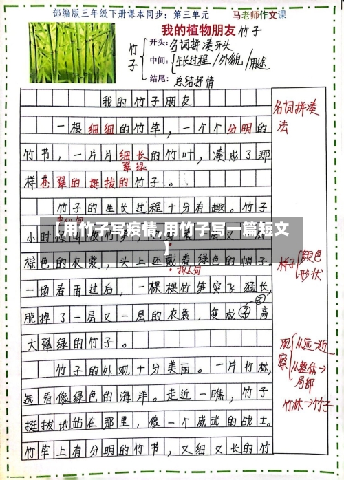 【用竹子写疫情,用竹子写一篇短文】
