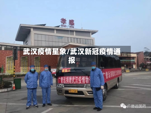 武汉疫情星象/武汉新冠疫情通报