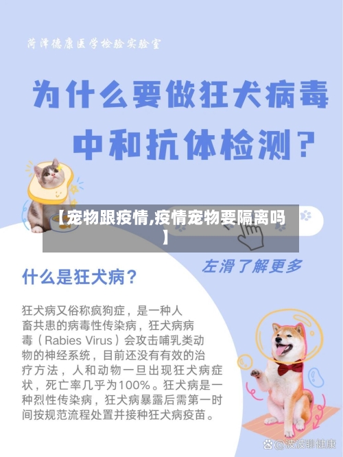 【宠物跟疫情,疫情宠物要隔离吗】