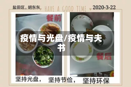 疫情与光盘/疫情与夫书