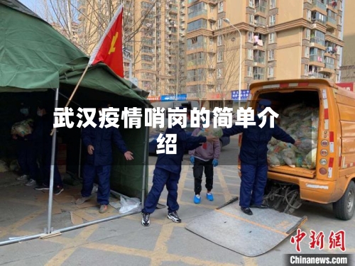 武汉疫情哨岗的简单介绍