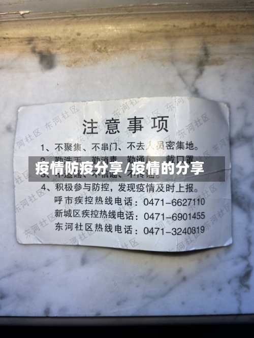 疫情防疫分享/疫情的分享
