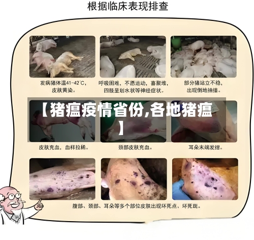 【猪瘟疫情省份,各地猪瘟】