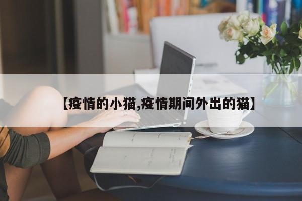 【疫情的小猫,疫情期间外出的猫】