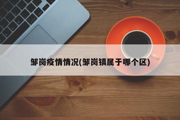 邹岗疫情情况(邹岗镇属于哪个区)
